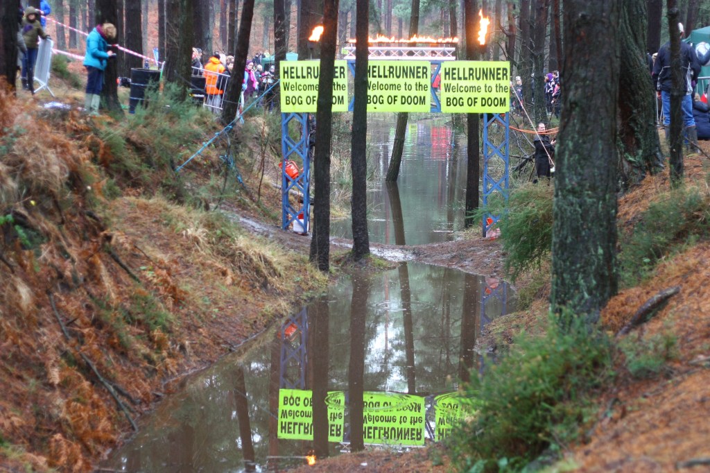Blue Glass and&nbsp;Gecko