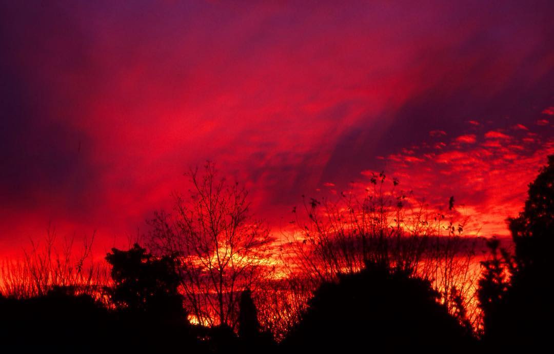 A beautiful, red Dundee  Sunset