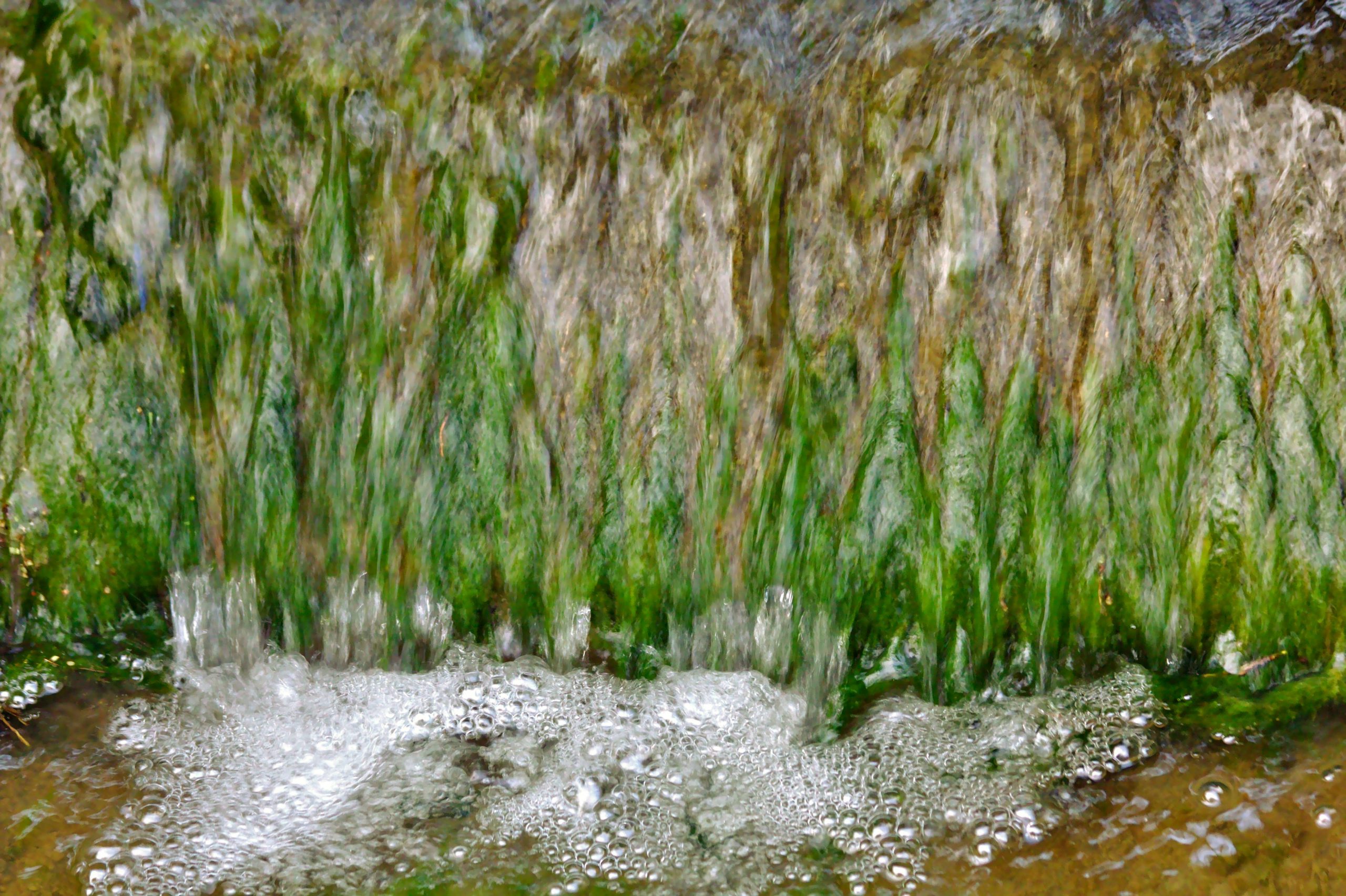 Water bubbles with water running over the algae on the spillway wall blurring the image of the algae.