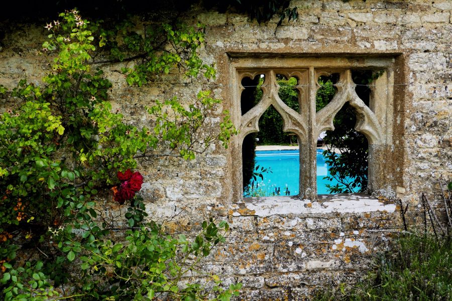 Old Brick, A Pool and a Red Flower