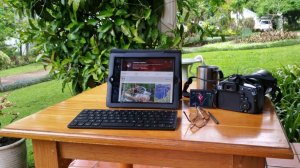 Blogging in the garden