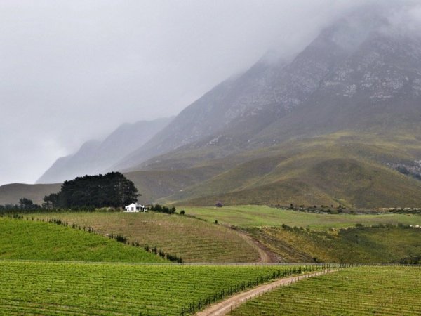 House On A Hill In The&nbsp;Mist