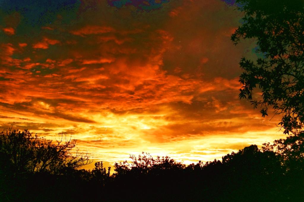 A tremendous bush sunset, with colours from white and yellow, through orange, to night time darkness.